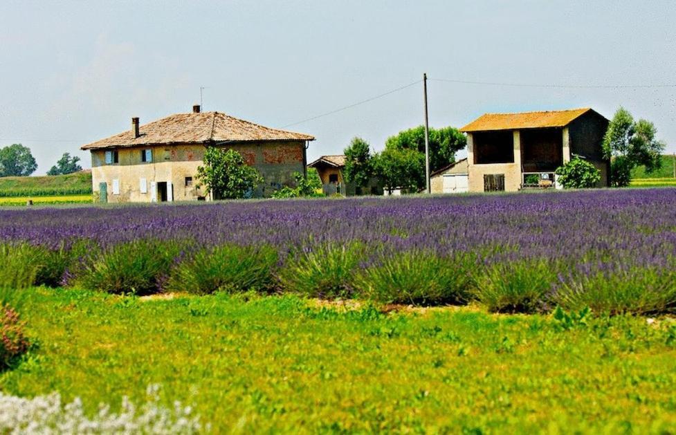 Il Murello Fiorentina Eksteriør bilde